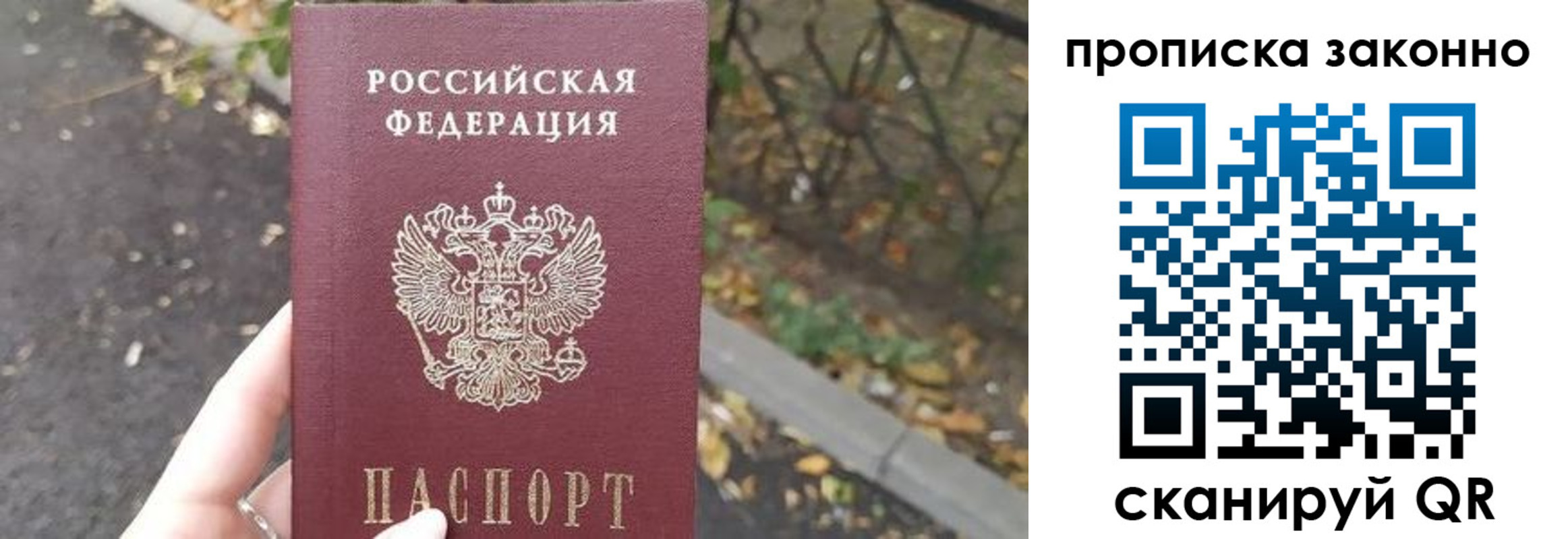 прописка для школы в Коряжме